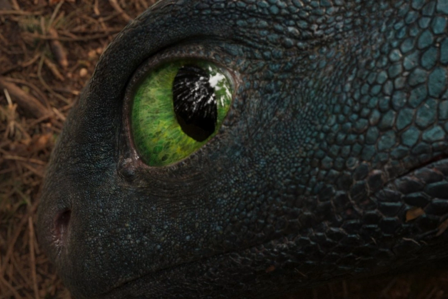 How to Train Your Dragon